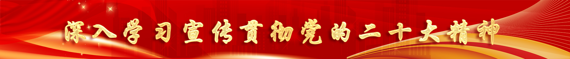 喜迎二十大，奋进新征程 