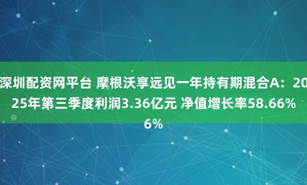 深圳配资网平台 摩根沃享远见一年持有期混合A：2025年第三季度利润3.36亿元 净值增长率58.66%