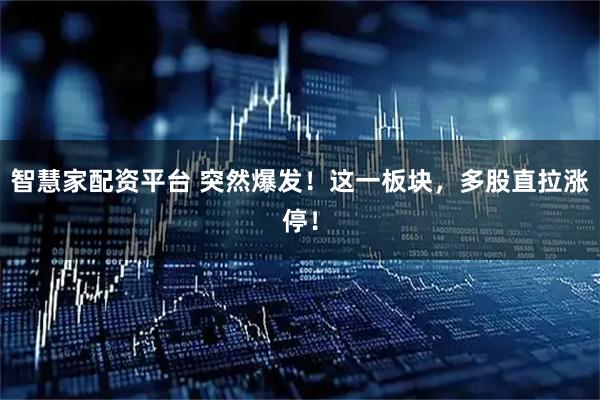 智慧家配资平台 突然爆发！这一板块，多股直拉涨停！