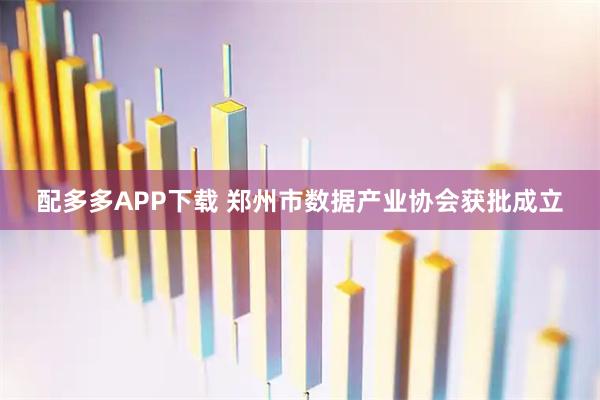 配多多APP下载 郑州市数据产业协会获批成立