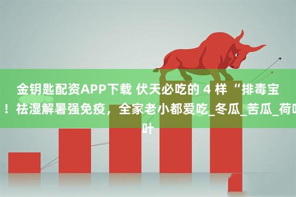 金钥匙配资APP下载 伏天必吃的 4 样 “排毒宝”！祛湿解暑强免疫，全家老小都爱吃_冬瓜_苦瓜_荷叶